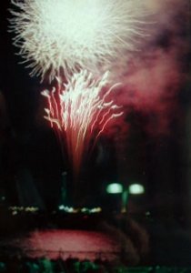 hanabi066b.jpg (11624 �o�C�g)