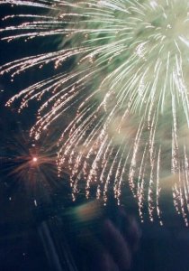 hanabi068b.jpg (19753 �o�C�g)