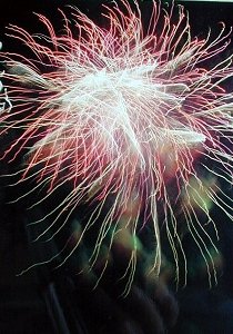 hanabi072b.jpg (28228 �o�C�g)