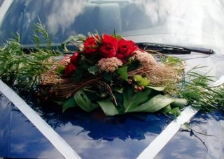 swiss116m.jpg (21712 �o�C�g)