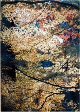 oya05s.jpg (18398 �o�C�g)