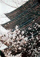 nittaiji01s.jpg (32314 �o�C�g)