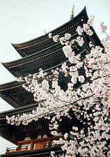 nittaiji02s.jpg (29303 �o�C�g)