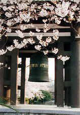 nittaiji03s.jpg (27192 �o�C�g)