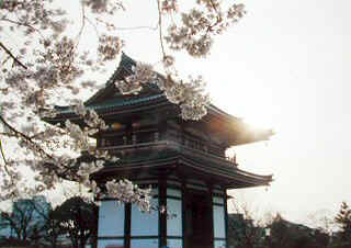 nittaiji06m.jpg (31910 �o�C�g)