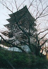 nittaiji07s.jpg (16075 �o�C�g)