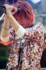 329s.jpg (15675 �o�C�g)