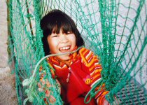 334m.jpg (16013 �o�C�g)