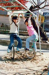 341s.jpg (20312 �o�C�g)