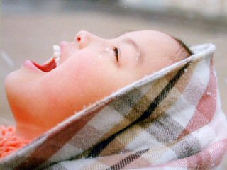 365m.jpg (16607 �o�C�g)