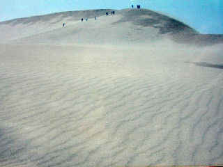 sanin519m.JPG (22432 �o�C�g)