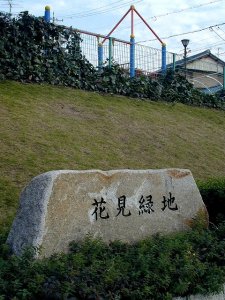 hanami_p01.jpg (24358 �o�C�g)