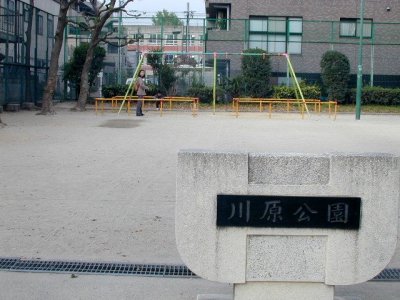 kawahara_p01.jpg (31082 �o�C�g)