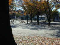 benten005.jpg (11855 �o�C�g)