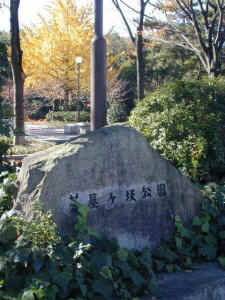 chayagasaka02.jpg (26201 �o�C�g)