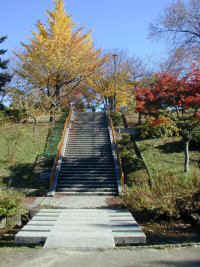 chayagasaka06.jpg (20476 �o�C�g)