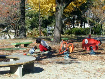 chayagasaka08.jpg (49847 �o�C�g)