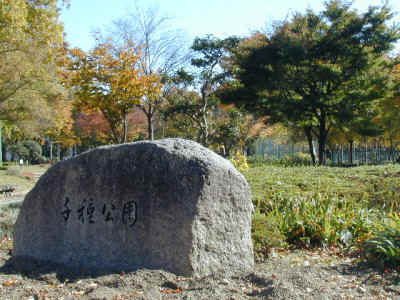 chikusa000.jpg (49419 �o�C�g)