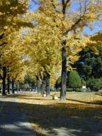 chukusa003.jpg (23344 �o�C�g)