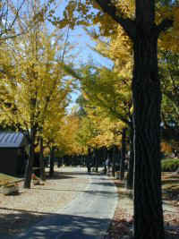 chukusa004.jpg (21982 �o�C�g)