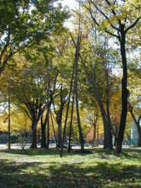 chukusa005.jpg (26533 �o�C�g)