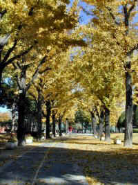 chukusa006.jpg (25941 �o�C�g)