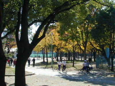 chukusa009.jpg (46753 �o�C�g)