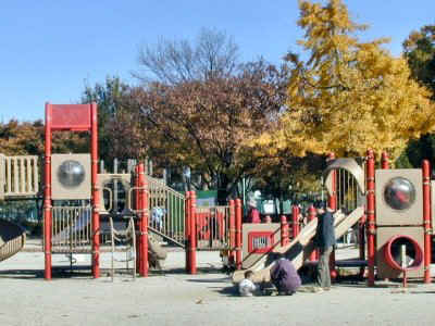 chukusa010.jpg (43528 �o�C�g)