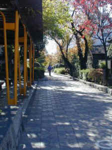 suidoumichi.jpg (25356 �o�C�g)