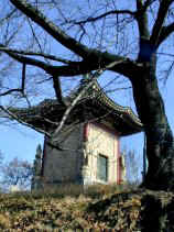 nankin149.JPG (16167 �o�C�g)