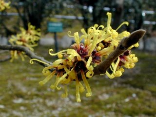 mansaku39a.JPG (21344 �o�C�g)