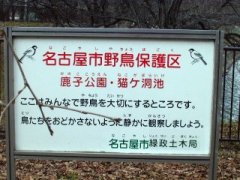 kanban081.jpg (16338 �o�C�g)