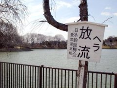 kanban082.jpg (13985 �o�C�g)