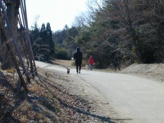 sanpo039.jpg (24566 �o�C�g)