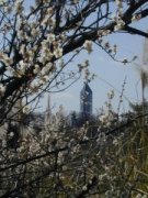 tower043.jpg (10853 �o�C�g)