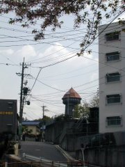 start76sJPG.jpg (14013 �o�C�g)