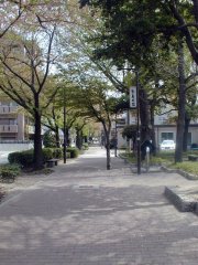 suidoumichi081.jpg (16288 �o�C�g)