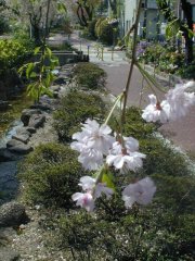 tenman048s.jpg (18162 �o�C�g)