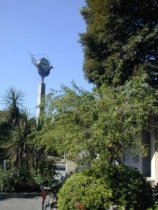 tokugawaen066.jpg (11505 �o�C�g)