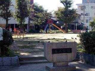 toneri19.jpg (25837 �o�C�g)