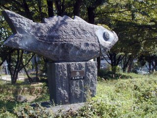 yamabuki_p07.jpg (35067 �o�C�g)