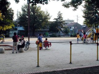 hananoki099.jpg (26573 �o�C�g)