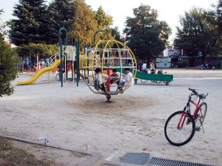 hananoki100.jpg (28115 �o�C�g)