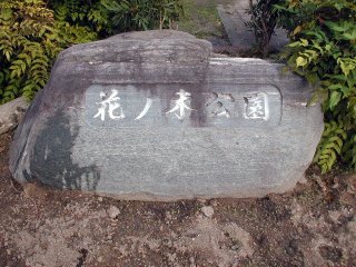 hananoki102.jpg (28819 �o�C�g)