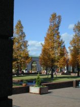 FF_Park190.jpg (9507 �o�C�g)