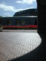 FF_Park192.jpg (8985 �o�C�g)