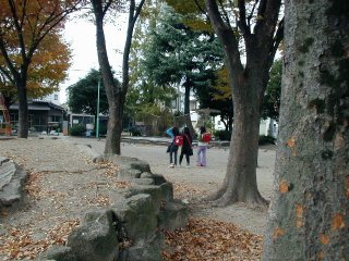 jousai209.jpg (30763 �o�C�g)