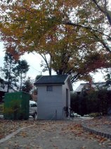 kaji007.jpg (14587 �o�C�g)