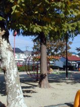 kaji011.jpg (14369 �o�C�g)