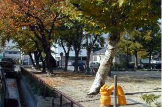 kaji_p.jpg (29537 �o�C�g)